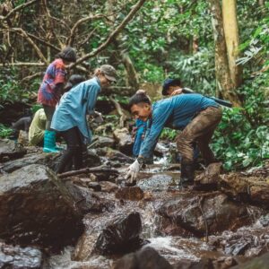 322480611_533618545487690_2822549930803987916_n